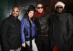 Black Eyed Peas